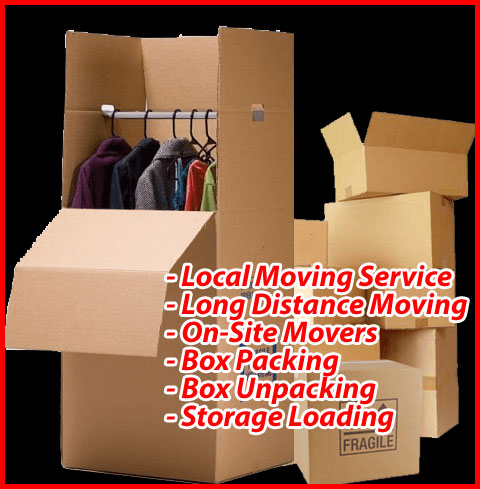 Packers And Movers Noida Sector 49